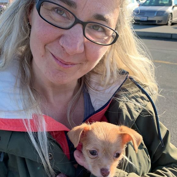 Meet your Posher, Cate - Picture 1 of 1